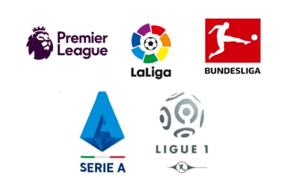 泰山隊的成 泰山隊的成